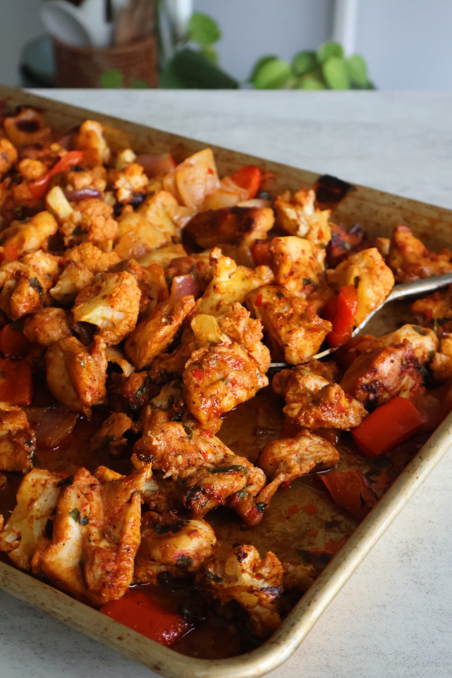 Sheet Pan Harissa Chicken